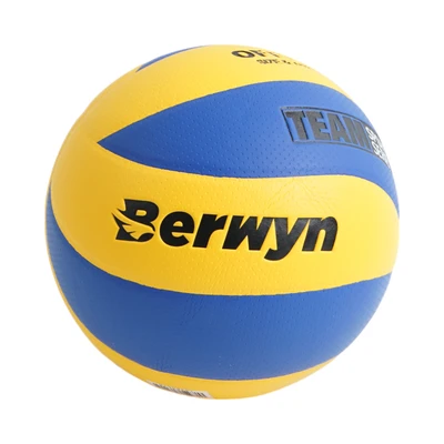 Gambar Berwyn Ukuran 5 Bola Voli Laminated PU - Mix