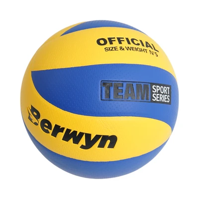Gambar Berwyn Ukuran 5 Bola Voli Laminated PU - Mix