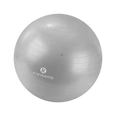 Gambar Alph 75 cm Bola Fitness - Silver