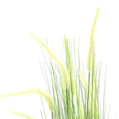 Gambar Informa Tanaman Artifisial Bristlegrass Dengan Pot 64x64x110 cm - Hijau