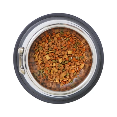 Gambar Paws N Tail 860 Ml Tempat Makan Hewan Bone Relief