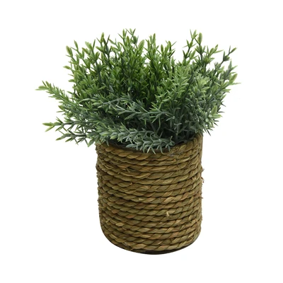 Gambar Informa Tanaman Artifisial Dengan Pot C2B 13x13x23 cm - Hijau