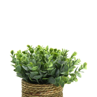 Gambar Informa Tanaman Artifisial Dengan Pot C2C 13x13x23 cm - Hijau