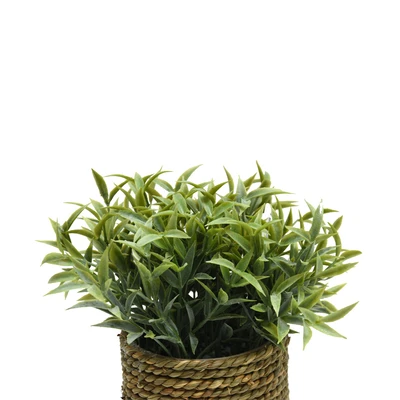 Gambar Informa Tanaman Artifisial Dengan Pot C2D 13x13x23 cm - Hijau
