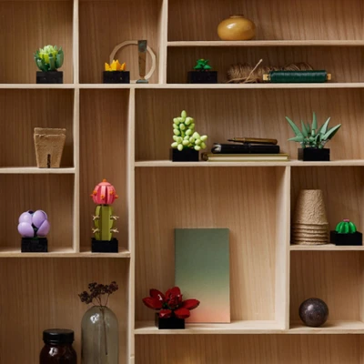 Gambar LEGO Succulents 10309