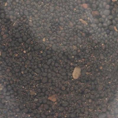 Gambar Fishland Gravel Pasir Hitam 1 kg