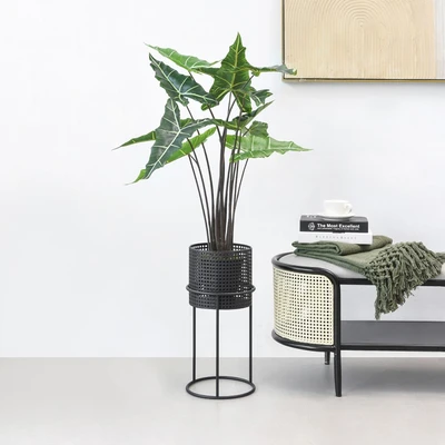 Gambar Informa Tanaman Artifisial Alocasia Sarian Dengan Pot 75x75x90 cm - Hijau