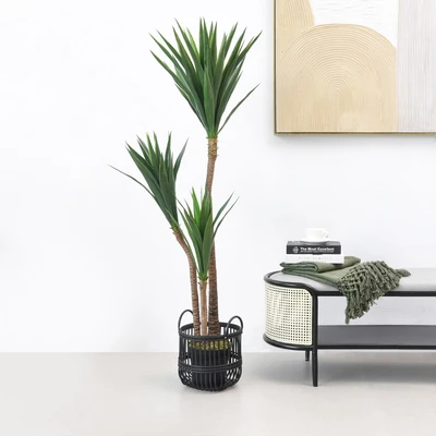 Gambar Informa 155 Cm Tanaman Artifisial Yucca Dengan Pot A6b