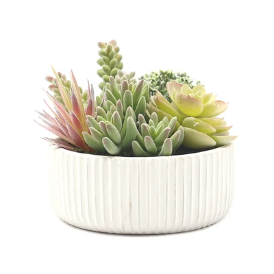 Gambar Arthome Tanaman Artifisial Succulent Dengan Pot 15.2x15.2x14.2 cm - Hijau
