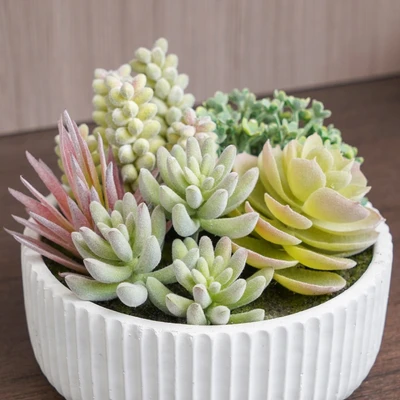 Gambar Arthome Tanaman Artifisial Succulent Dengan Pot 15.2x15.2x14.2 cm - Hijau
