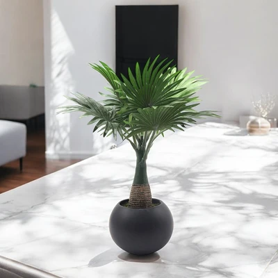 Gambar Arthome Tanaman Artifisial Fern Dengan Pot Keramik 40.6x40.6x43.1 cm - Hijau