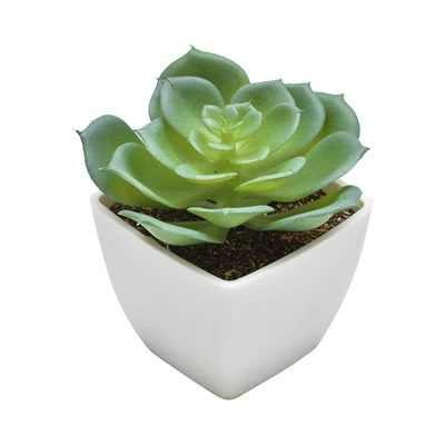 Gambar Ataru Tanaman Artifisial Echeveria Dengan Pot - Putih