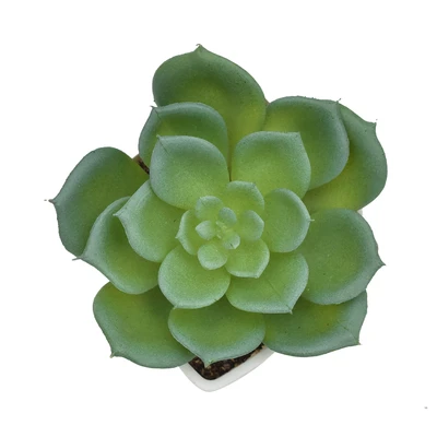 Gambar Ataru Tanaman Artifisial Echeveria Dengan Pot - Putih