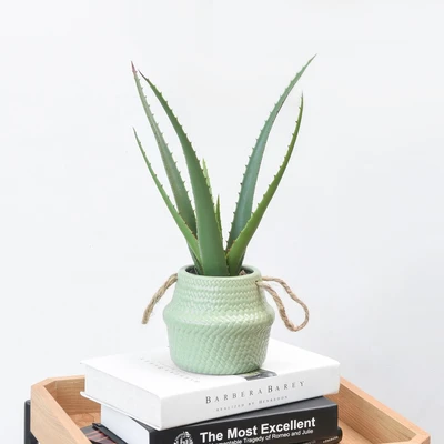 Gambar Informa Tanaman Artifisial Aloe Dengan Pot 17.8x17.8x40.6 cm - Hijau