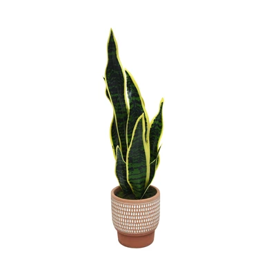Gambar Informa Tanaman Artifisial Sansevieria Dengan Pot 22.8x22.8x58 cm - Hijau