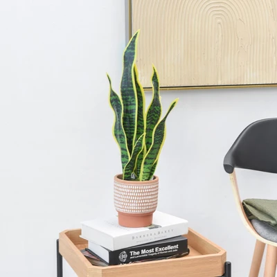 Gambar Informa Tanaman Artifisial Sansevieria Dengan Pot 22.8x22.8x58 cm - Hijau
