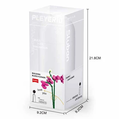 Gambar Sluban Set Pleyerid Butterfly Orchid