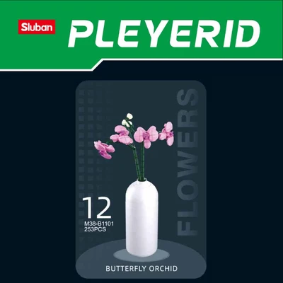 Gambar Sluban Set Pleyerid Butterfly Orchid