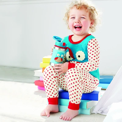 Gambar Skip Hop Zoo Ss Straw Bottle Owl Sh019