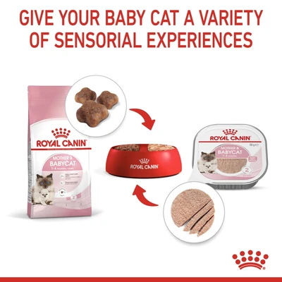 Gambar Royal Canin 100 Gr Makanan Kucing Basah Mother & Babycat