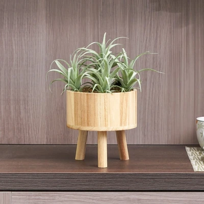 Gambar Arthome Tanaman Artifisial Airplant Dengan Pot Tripot 15.4x15.4x28.5 cm - Hijau