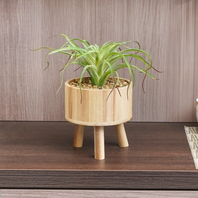 Gambar Arthome Tanaman Artifisial Big Airplant Dengan Pot Tripot 15.4x15.4x30 cm - Hijau