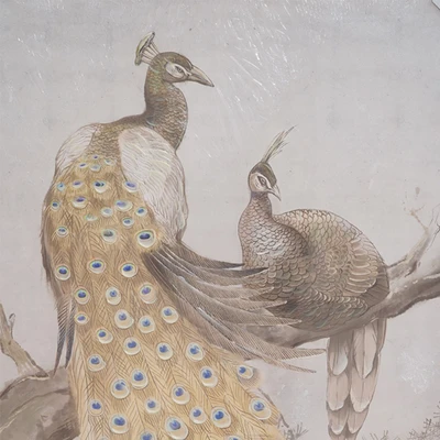 Gambar Informa Lukisan Kanvas Handmade & Print Peacock 82.5x122.5 cm - Mix