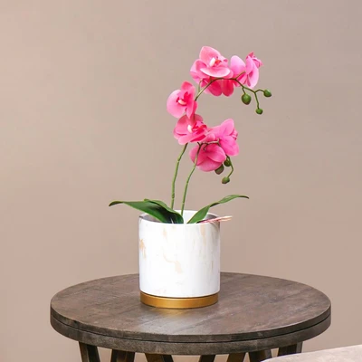 Gambar Informa Pot Tanaman Semen Dengan Saucer Marble 17 cm - Gold