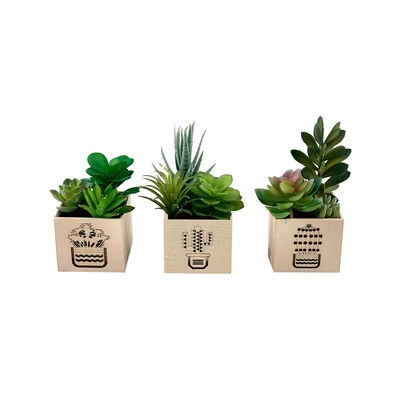 Gambar Arthome Tanaman Artifisial Succulent Dengan Light Set-d In Shaw Pot