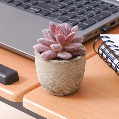 Gambar Ataru Bunga Artifisial Sedum Dengan Pot