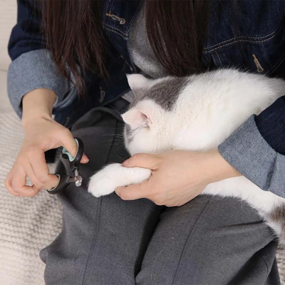 Gambar Paws N Tail Gunting Kuku Hewan - Hitam/Hijau Pet