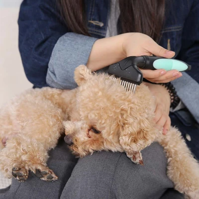 Gambar Paws N Tail Sisir Hewan