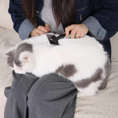 Gambar Paws N Tail Sisir Slicker Ukuran Medium