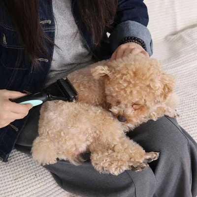 Gambar Paws N Tail Sisir Bulu Hewan Dematting