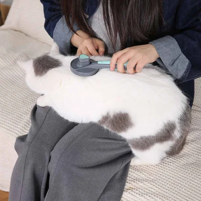 Gambar Paws N Tail Sikat Bulu Hewan Self Cleaning