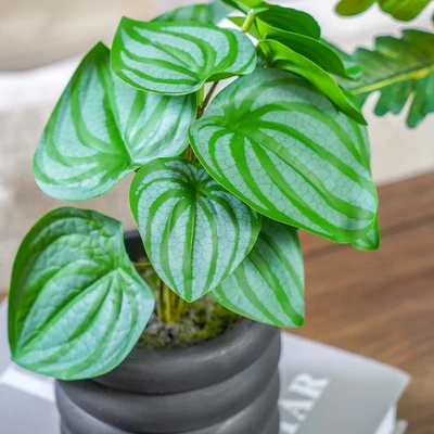 Gambar Informa Tanaman Artifisial Leaves Dengan Pot 20x20x24 cm - Hijau