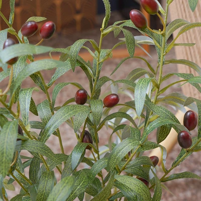 Gambar Informa Tanaman Artifisial Olive Branch Dengan Pot 28x28x67 cm - Hijau