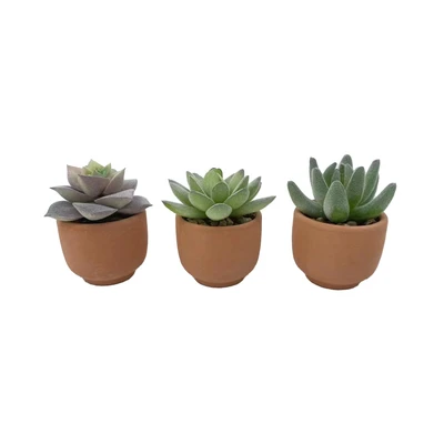 Gambar Arthome Tanaman Artifisial Succulent Mini Teacup Dengan Pot V1 5x5x8 cm Set 3 Pcs - Hijau