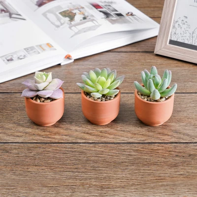 Gambar Arthome Tanaman Artifisial Succulent Mini Teacup Dengan Pot V1 5x5x8 cm Set 3 Pcs - Hijau