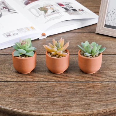 Gambar Arthome Tanaman Artifisial Succulent Mini Teacup Dengan Pot V3 5x5x8 cm Set 3 Pcs - Hijau