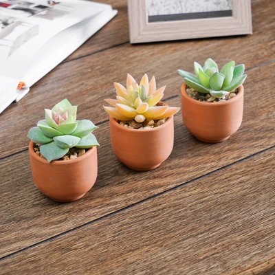 Gambar Arthome Tanaman Artifisial Succulent Mini Teacup Dengan Pot V3 5x5x8 cm Set 3 Pcs - Hijau
