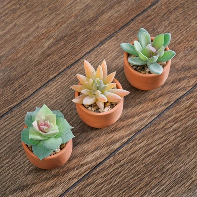 Gambar Arthome Tanaman Artifisial Succulent Mini Teacup Dengan Pot V3 5x5x8 cm Set 3 Pcs - Hijau