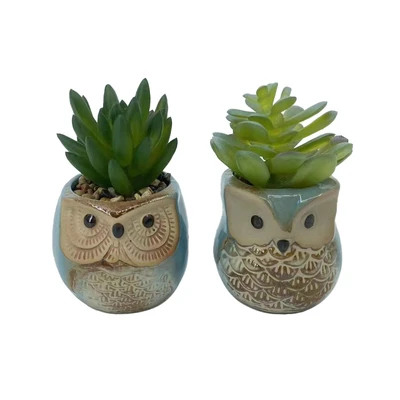 Gambar Arthome Tanaman Artifisial Succulent Dengan Pot Owl 6x6x10 cm Set 2 Pcs - Biru