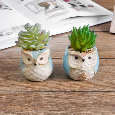 Gambar Arthome Tanaman Artifisial Succulent Dengan Pot Owl 6x6x10 cm Set 2 Pcs - Biru