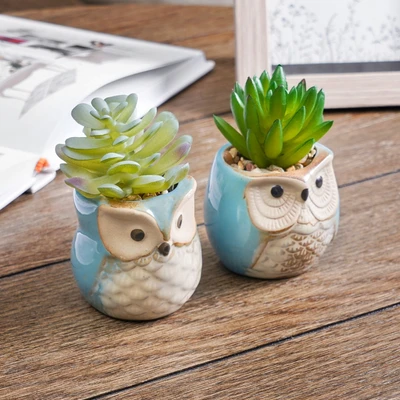 Gambar Arthome Tanaman Artifisial Succulent Dengan Pot Owl 6x6x10 cm Set 2 Pcs - Biru