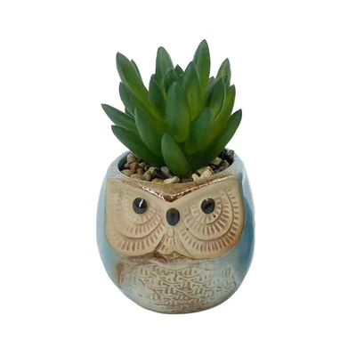 Gambar Arthome Tanaman Artifisial Succulent Dengan Pot Owl 6x6x10 cm Set 2 Pcs - Biru