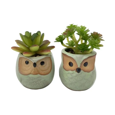 Gambar Arthome Tanaman Artifisial Succulent Dengan Pot Owl 6x6x10 cm Set 2 Pcs - Hijau