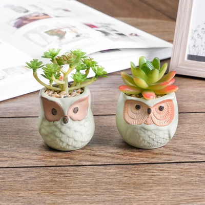 Gambar Arthome Tanaman Artifisial Succulent Dengan Pot Owl 6x6x10 cm Set 2 Pcs - Hijau
