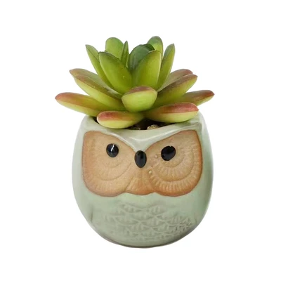 Gambar Arthome Tanaman Artifisial Succulent Dengan Pot Owl 6x6x10 cm Set 2 Pcs - Hijau
