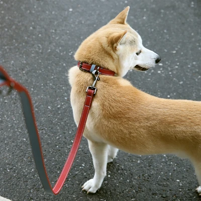 Gambar Paws N Tail Tali & Kalung Anjing Kulit Small - Merah